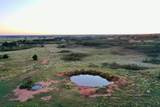 480 Acres County Road 19 - Photo 9