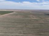  South 51 Ac. Tract 33 Pullman Road - Photo 7