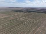  South 51 Ac. Tract 33 Pullman Road - Photo 8