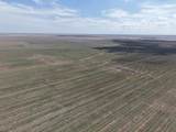  364.14 Acres Pullman Road - Photo 15