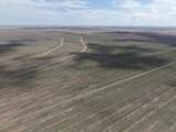  364.14 Acres Pullman Road - Photo 21