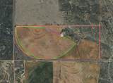  Coleman Land Tract 4 Fm 1036 - Photo 1