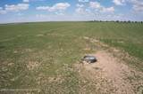 95 Acres Hwy 60 - Photo 10