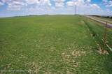 95 Acres Hwy 60 - Photo 7