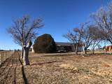 4205 Hwy 83 - Photo 48