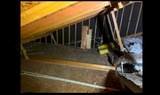 100 Bunavista Street - Photo 23