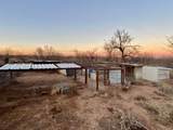 116 Buffalo Drive - Photo 8