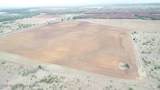 HWY 256 H & Gn Abst 1140 Sec 92 Blk 9 - Photo 11