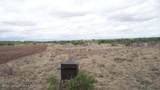 HWY 256 H & Gn Abst 1140 Sec 92 Blk 9 - Photo 15