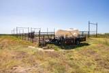  Crush Ranch - Photo 101