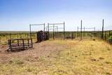  Crush Ranch - Photo 102