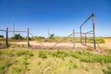  Crush Ranch - Photo 103