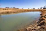  Crush Ranch - Photo 66
