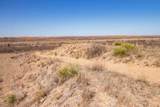  Crush Ranch - Photo 74