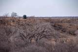  Crush Ranch - Photo 78