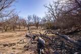  Crush Ranch - Photo 81