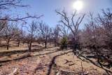  Crush Ranch - Photo 82