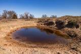 Crush Ranch - Photo 86