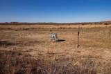  Crush Ranch - Photo 89