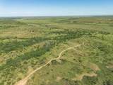  Crush Ranch - Photo 94