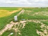  Hurst 1,320 Acres - Photo 65