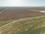  Friemel 2,601.51 Acres Pullman Road - Photo 25