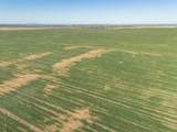  Friemel 2,601.51 Acres Pullman Road - Photo 28