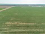  Friemel 2,601.51 Acres Pullman Road - Photo 31