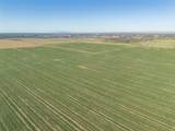  Friemel 2,601.51 Acres Pullman Road - Photo 32
