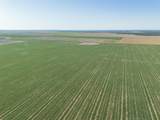  Friemel 2,601.51 Acres Pullman Road - Photo 33