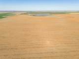  Friemel 2,601.51 Acres Pullman Road - Photo 38