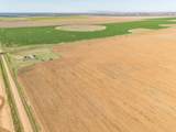  Friemel 2,601.51 Acres Pullman Road - Photo 39