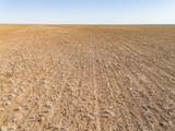  Friemel 2,601.51 Acres Pullman Road - Photo 46