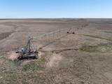  Bourquin Cattle 813 Ac - Photo 27