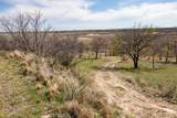 401 Ten Bears Trail - Photo 48