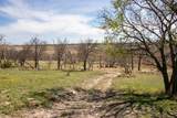 401 Ten Bears Trail - Photo 49