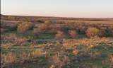  Co Rd 90 - Photo 11