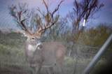  Co Rd 90 - Photo 16