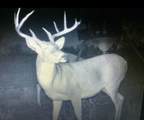  Co Rd 90 - Photo 20