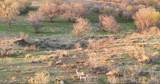  Co Rd 90 - Photo 9