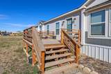707 Trice Street - Photo 3