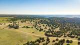 24101 Sunday Canyon Road - Photo 39