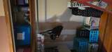 2115 Hemlock Street - Photo 40