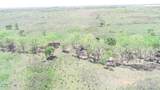  320 Acres - Photo 18