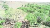  320 Acres - Photo 2