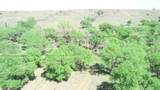  320 Acres - Photo 3