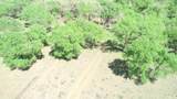  320 Acres - Photo 4