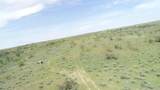  320 Acres - Photo 5