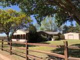203 Pine Street - Photo 4