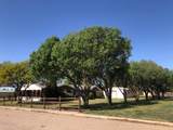 203 Pine Street - Photo 5
